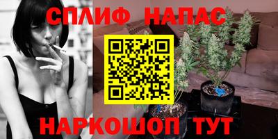 каннабис Будённовск