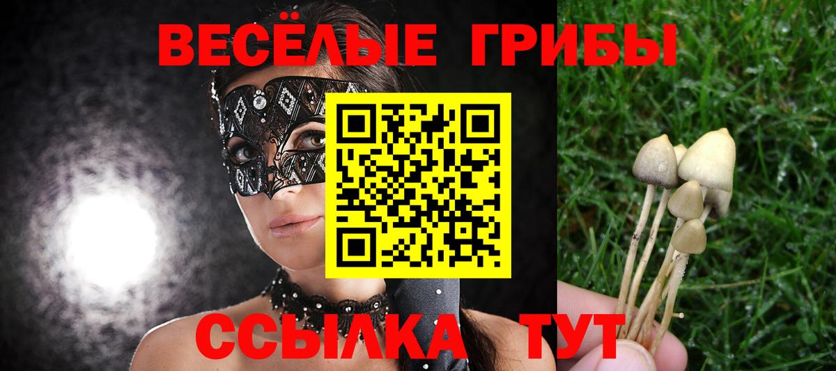Псилоцибиновые грибы GOLDEN TEACHER  Вход с VPN  Азов 